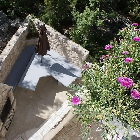 Miskovic Apartament