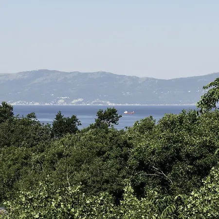Miskovic Apartament