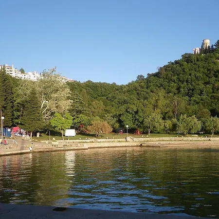 Apartment Miskovic *