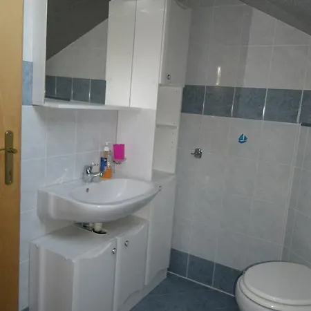 Apartment Miskovic
